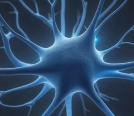 优米娱乐有限公司官网首页下载