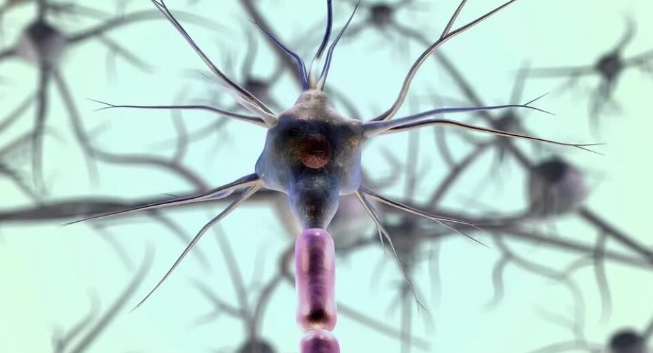 优米娱乐有限公司官网首页下载