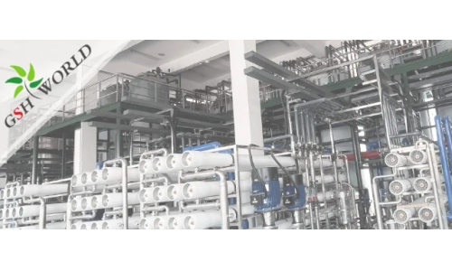 企业动态 - 安庆市区领导对优米娱乐有限公司官网首页下载的生产发展给予充分肯定