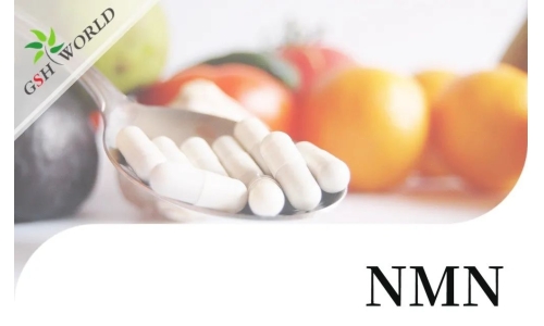 行业关注 - NMN潜在的抗衰老活性及其适用性