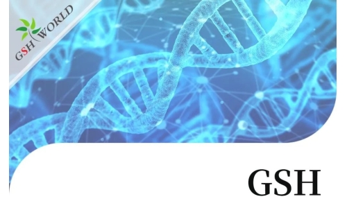 行业关注 - 谷胱甘肽结合几种不同抗癌化疗药物的生物学作用