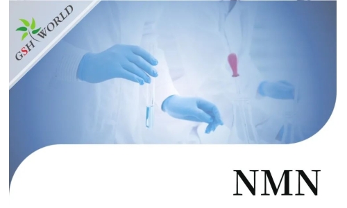 行业关注 - NMN的保健功能与最新研究进展