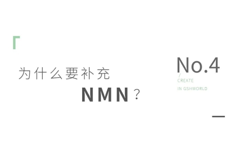 NMN——身体内的抗氧化剂、免疫调节剂和抗炎药