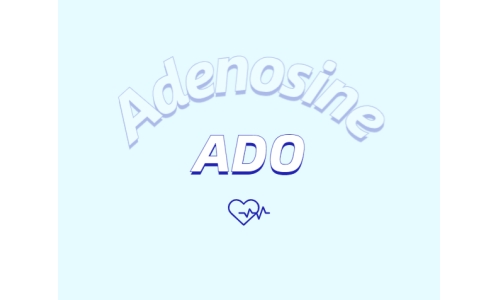 腺苷能促进睡眠吗？