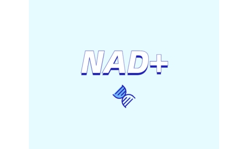 NAD+前体是如何缓解衰老的？
