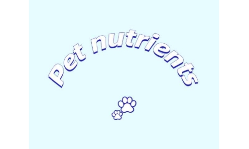 三种具有潜力的宠物营养素——PQQ、辅酶Q10以及S-腺苷甲硫氨酸